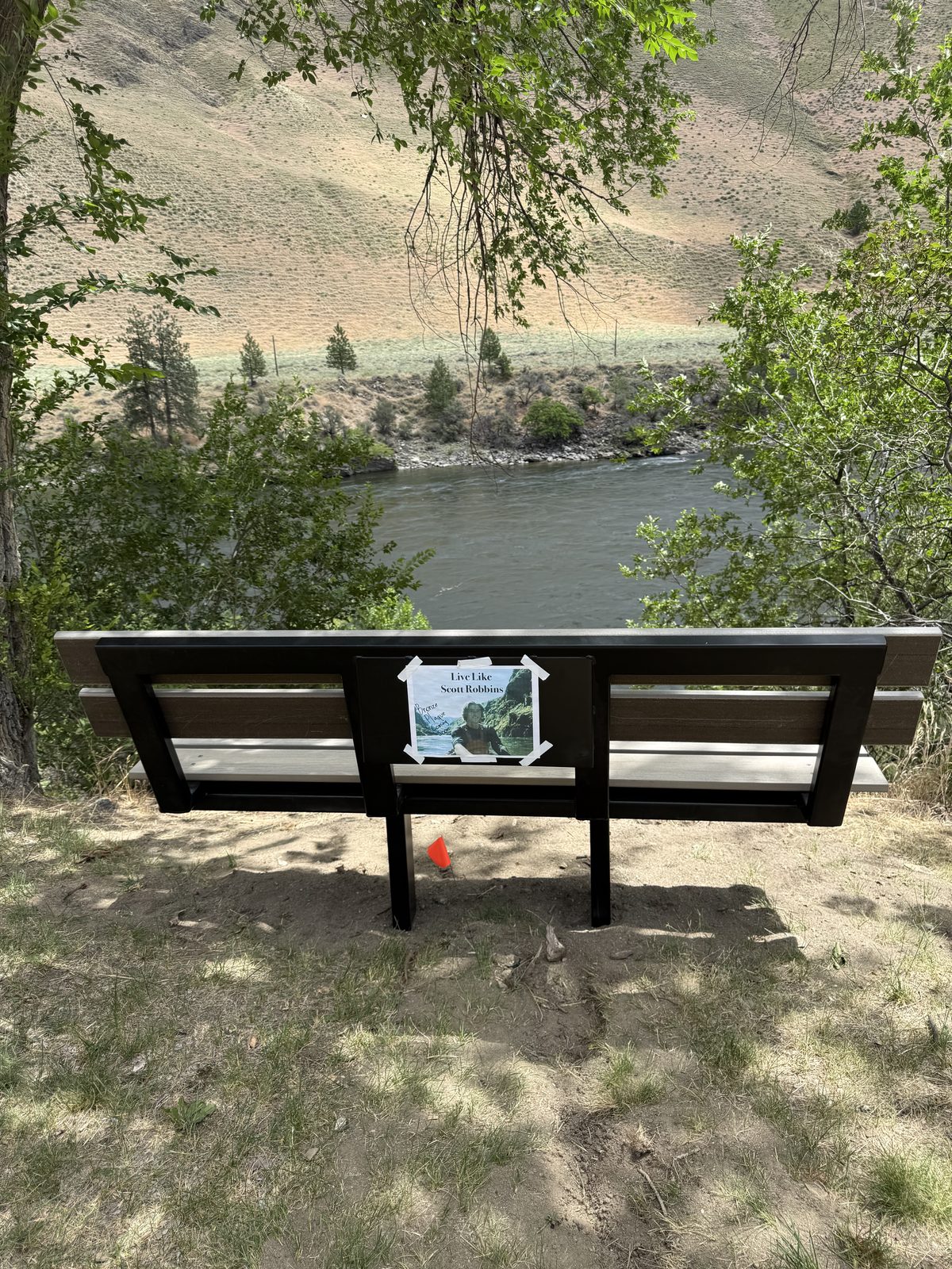 A memorial bench and photo set by the river