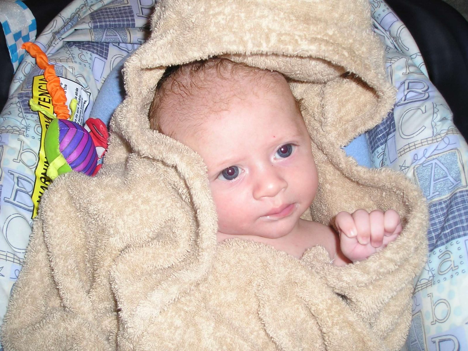 Baby Scott wrapped in a hooded brown towel, looking at the camera