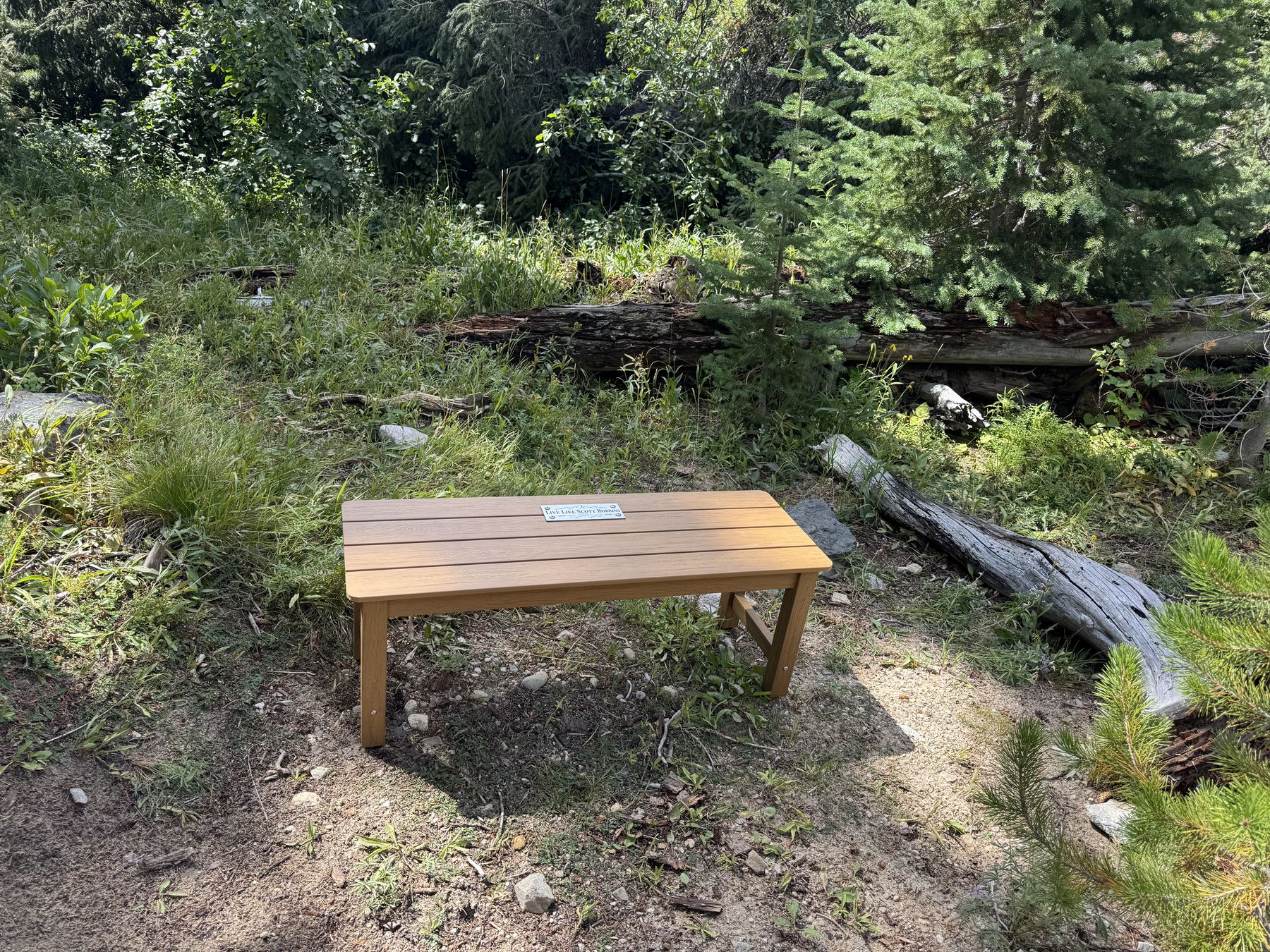 The bench in its place above Marsh Creek, plaque catching the afternoon light