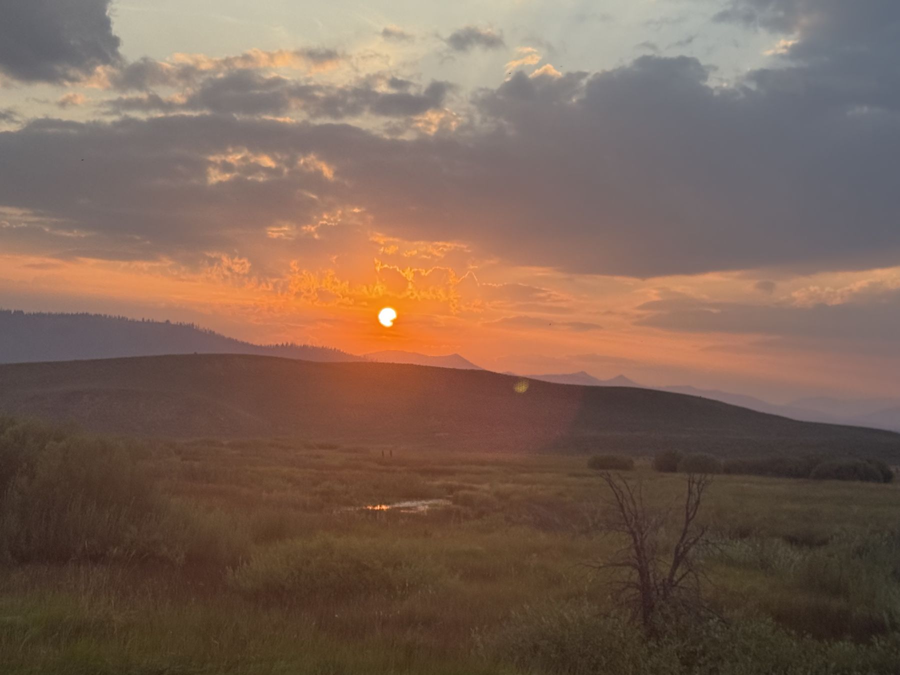The last of the light over the meadow